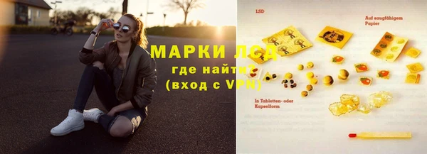 прущие грибы Верхнеуральск