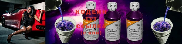 прущие грибы Верхнеуральск
