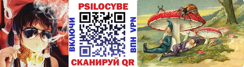 где купить наркоту  OMG ссылки  Псилоцибиновые грибы Psilocybe  маркетплейс официальный сайт  Вольск 